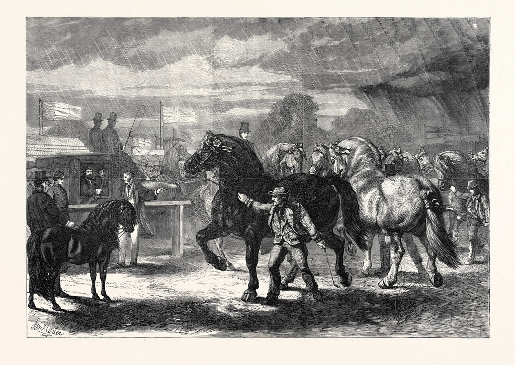 Detail of Suffolk Cart Horses at the Exhibition of the Royal Agricultural Society at Bury St. Edmunds 1867 by Anonymous