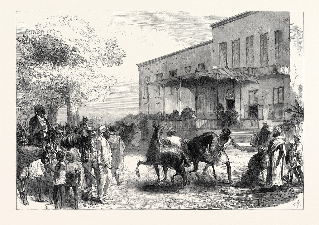 Detail of The Abyssinian Expedition: Transport Officers Buying Mules Opposite Shepheard's Hotel Cairo Egypt 1867 by Anonymous