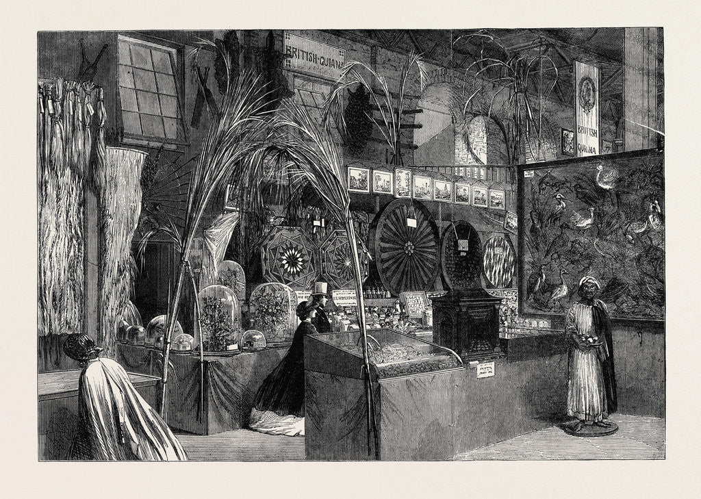 Detail of The International Exhibition: British Guiana and Barbadoes Courts 1862 by Anonymous