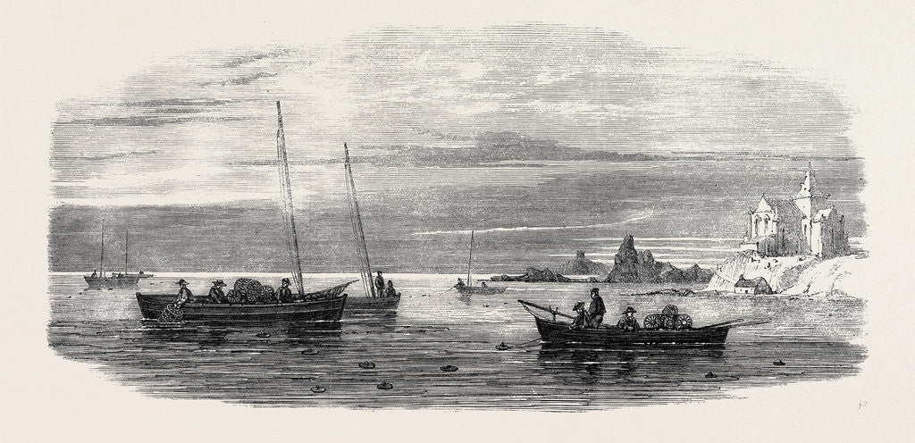 Detail of The Shellfish Supplies: Crab Fishing Off Fife Coast 1862 by Anonymous