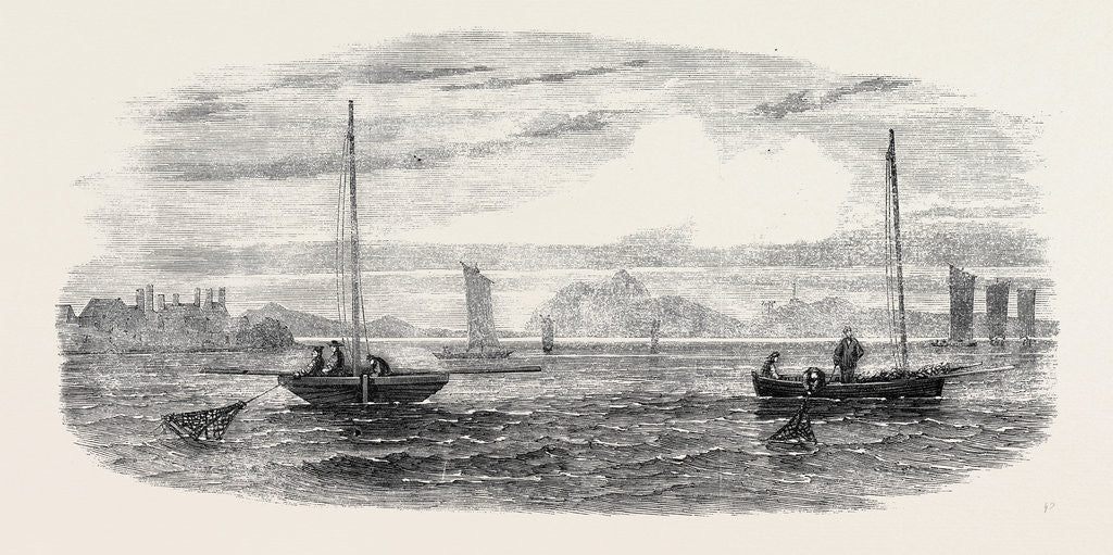 Detail of The Shellfish Supplies: Oyster-Boats Dredging Off Prestonpans 1862 by Anonymous