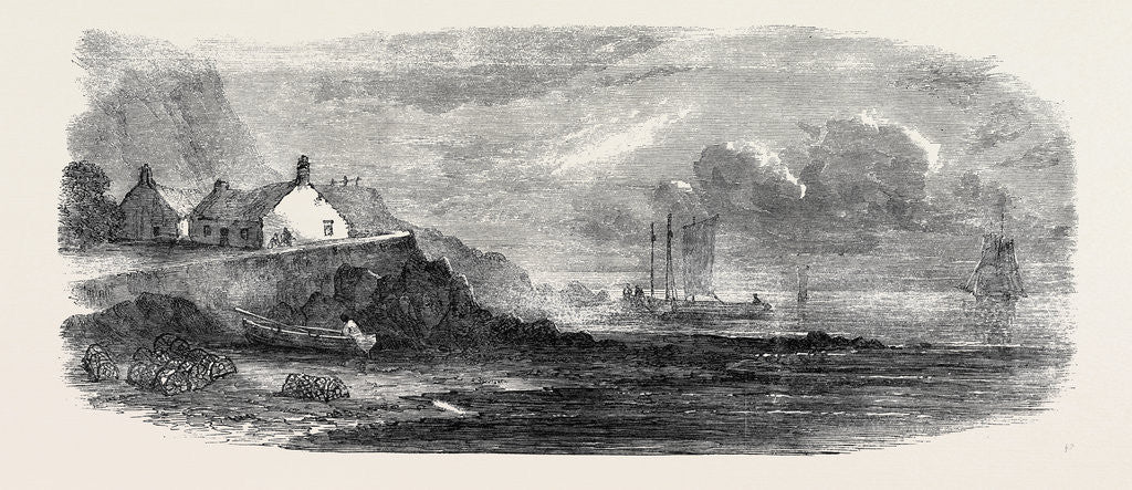 Detail of The Shellfish Supplies: Shellfish Catchers' Cottage at Canty Bay 1862 by Anonymous