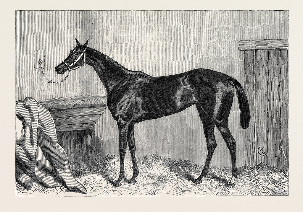 Detail of Tormentor the Winner of the Oaks 1866 by Anonymous
