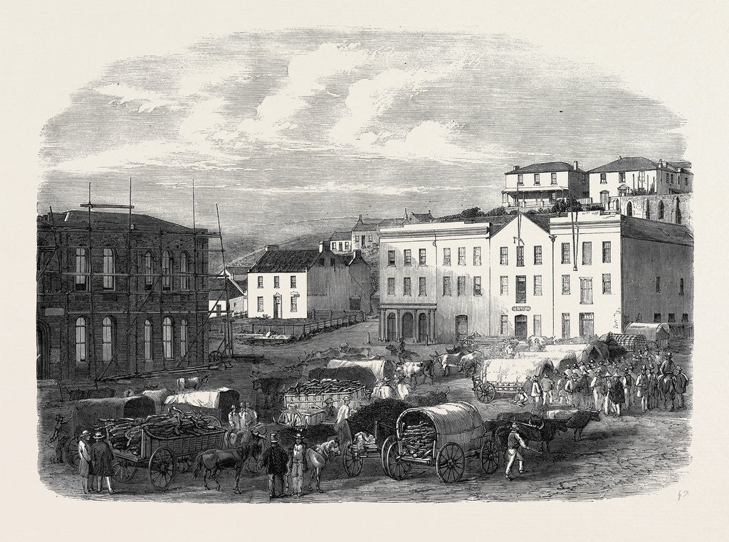 Detail of Morning Market at Port Elizabeth 1866 by Anonymous