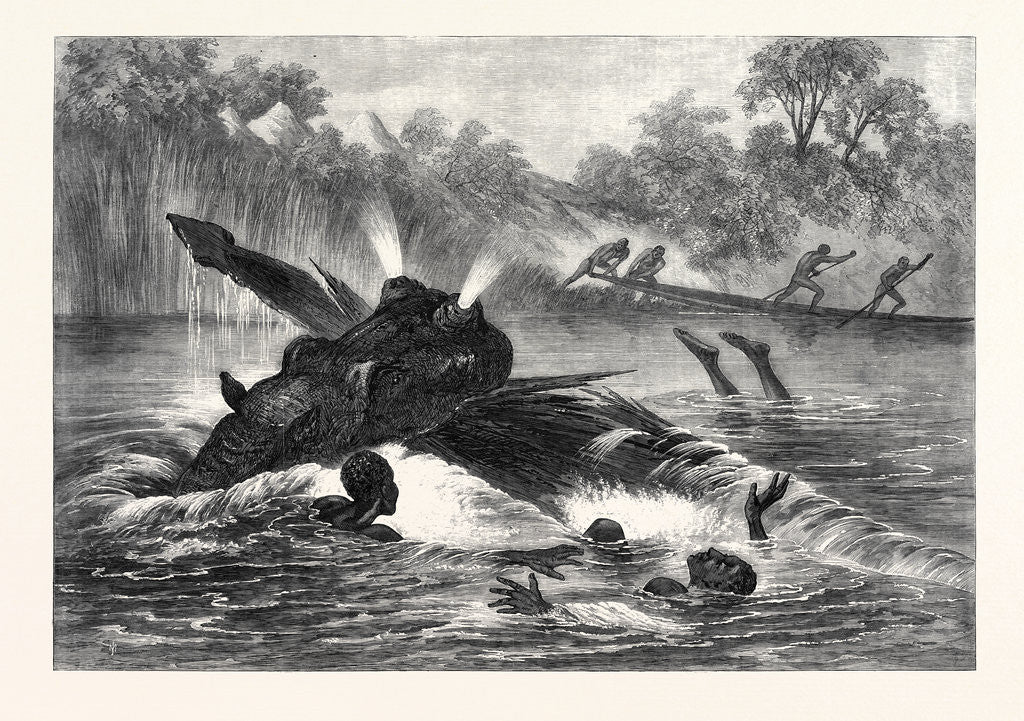 Detail of Canoe Destroyed by a Hippopotamus on the River Zambesi South Africa 1866 by Anonymous