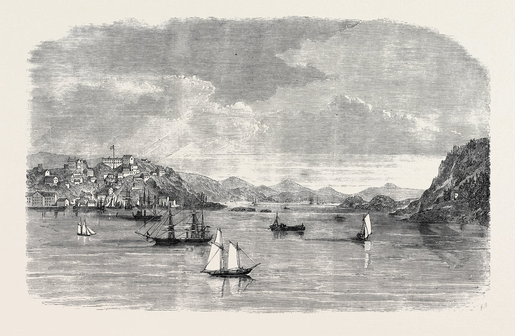 Detail of Eastport Maine the Rendezvous of Fenians in the United States 1866 by Anonymous