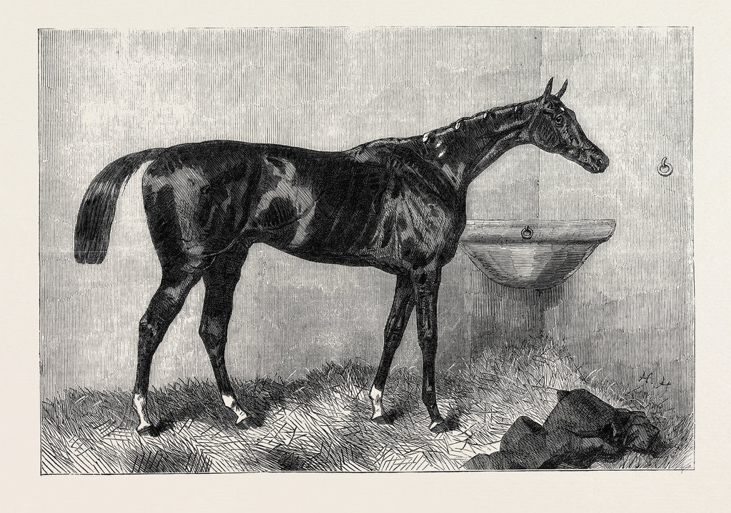Detail of Mr. R. Sutton's Lord Lyon Winner of the Two Thousand Guinea Stakes at Newmarket UK 1866 by Anonymous