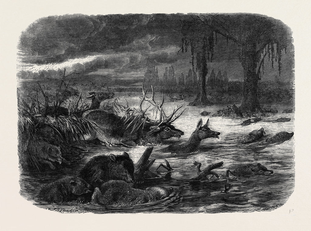 Detail of Animals Taking Refuge from a Prairie Fire by Anonymous