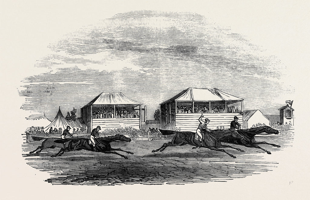 Detail of Croxton Park Races, the Race by Anonymous