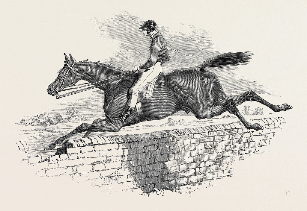 Detail of Lottery, the Celebrated Steeple Chase Winner. by Anonymous