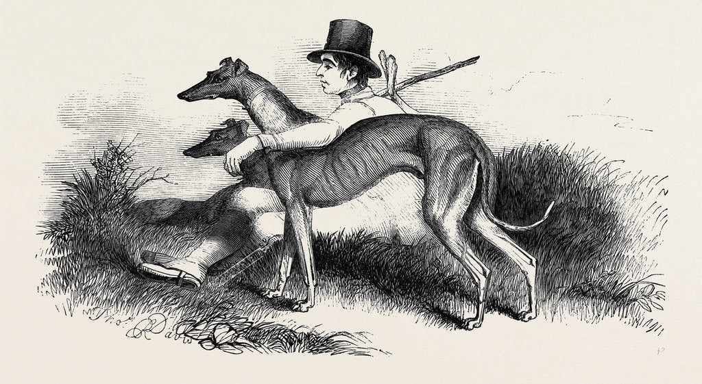 Detail of Coursing, Greyhounds. by Anonymous