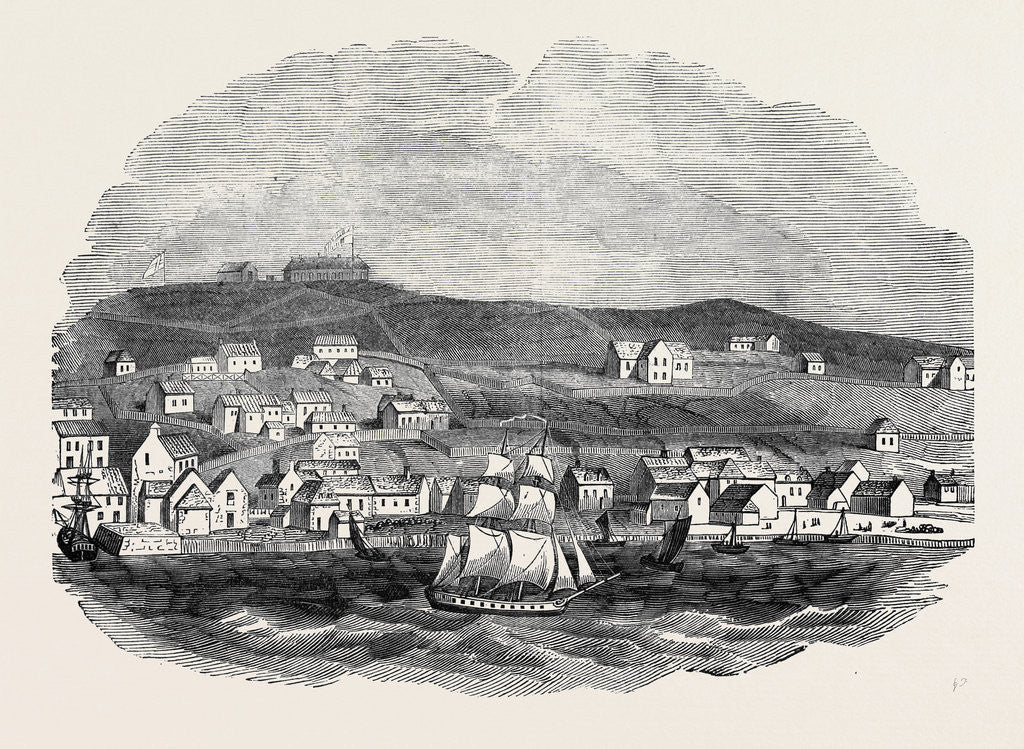 Detail of St. John's, Newfoundland. by Anonymous