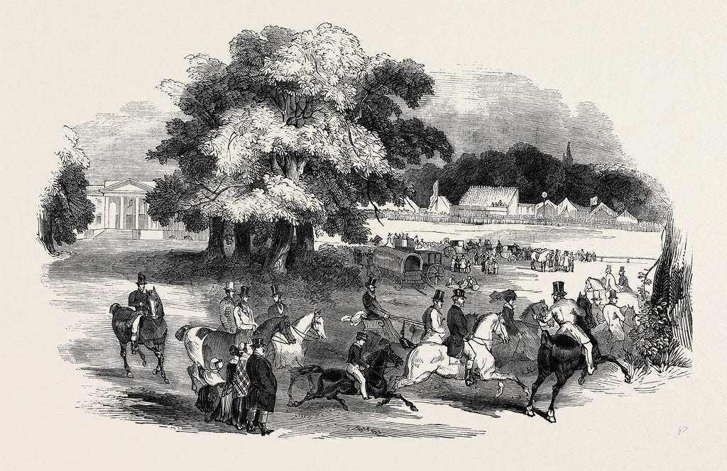 Detail of Gorhambury Races, from a Sketch in the Park by Anonymous