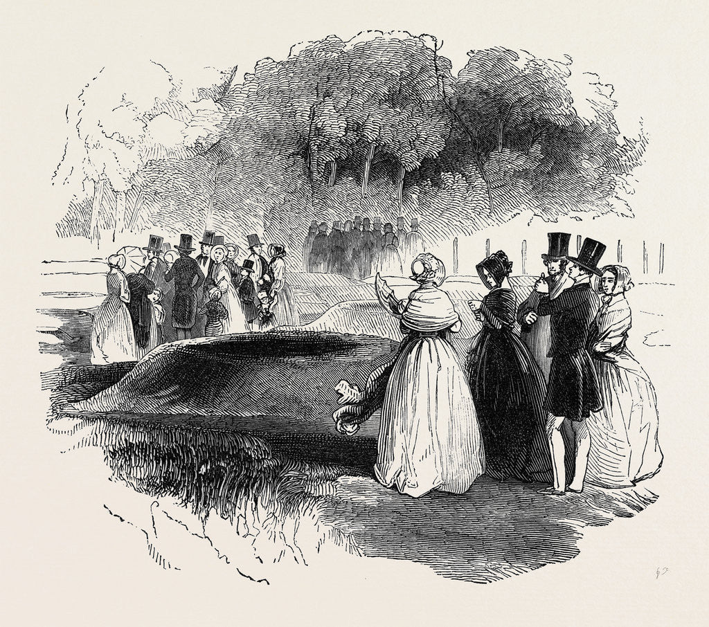 Detail of Barrows in Greenwich Park. by Anonymous