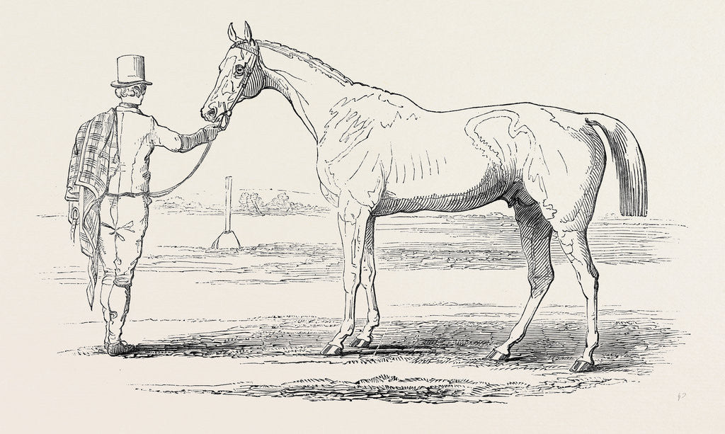 Detail of Colonel Peel's Orlando, the Winner of the Derby. by Anonymous