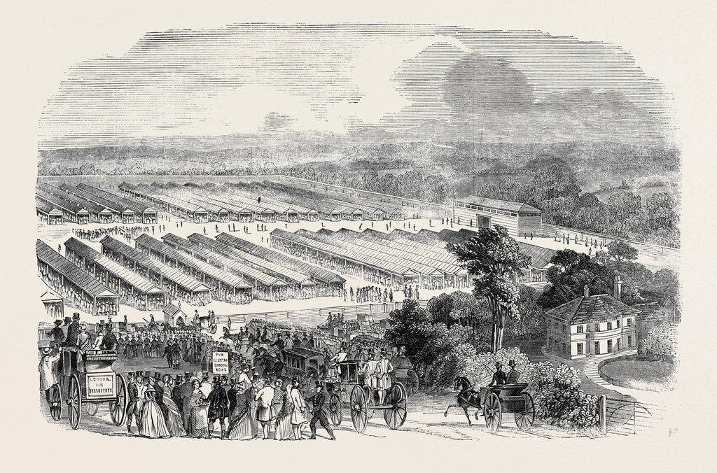 Detail of The Cattle Show, Portswood. by Anonymous