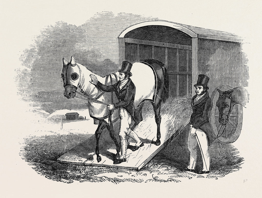 Detail of Race-Horse Van by Anonymous