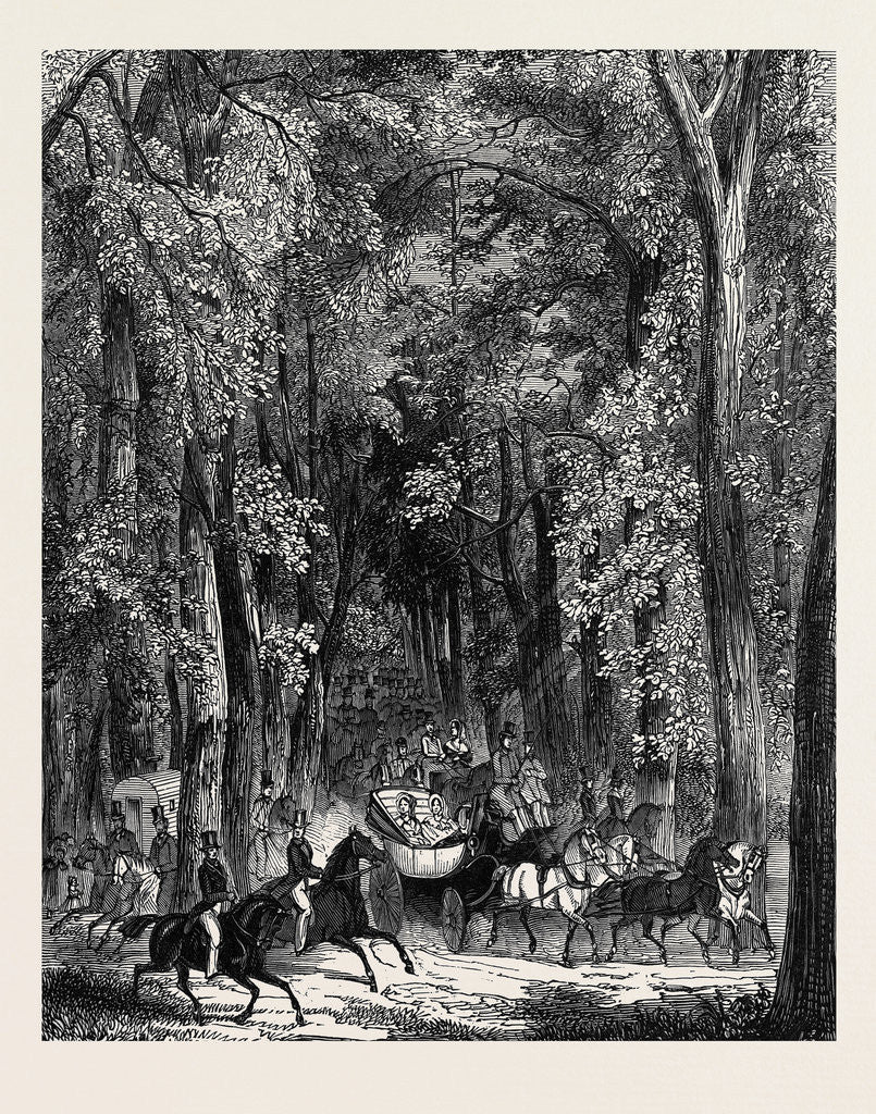 Detail of Road Through Goodwood Park. by Anonymous