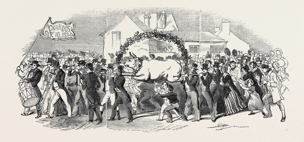 Detail of Procession of the Ox, at Buckingham by Anonymous
