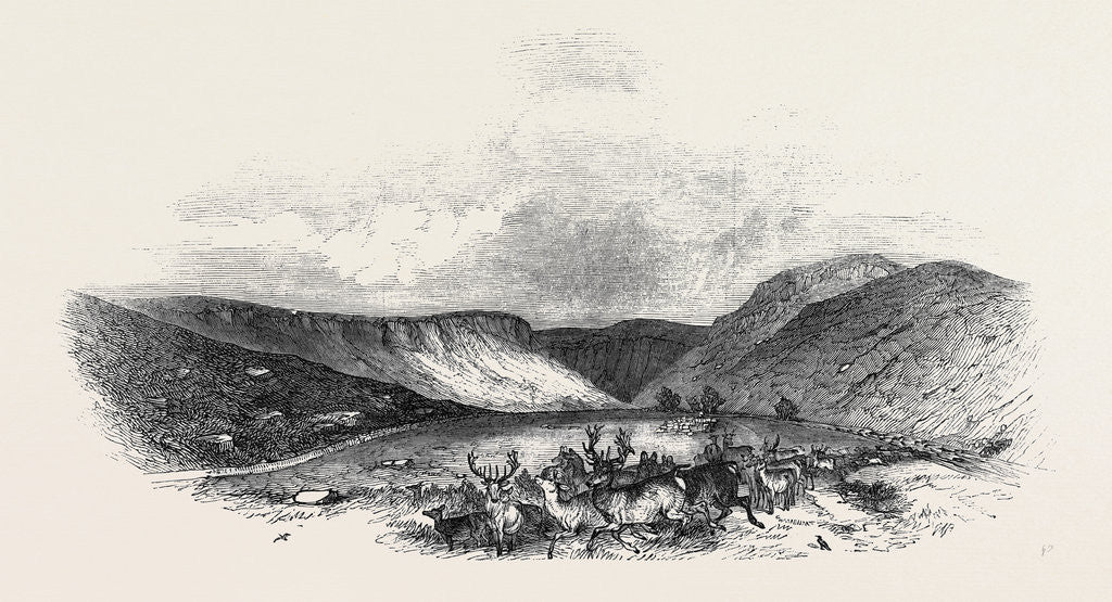 Detail of Glen Tilt by Anonymous
