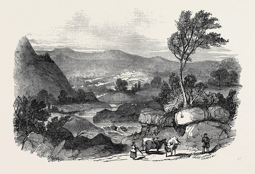 Detail of Blair Athol by Anonymous