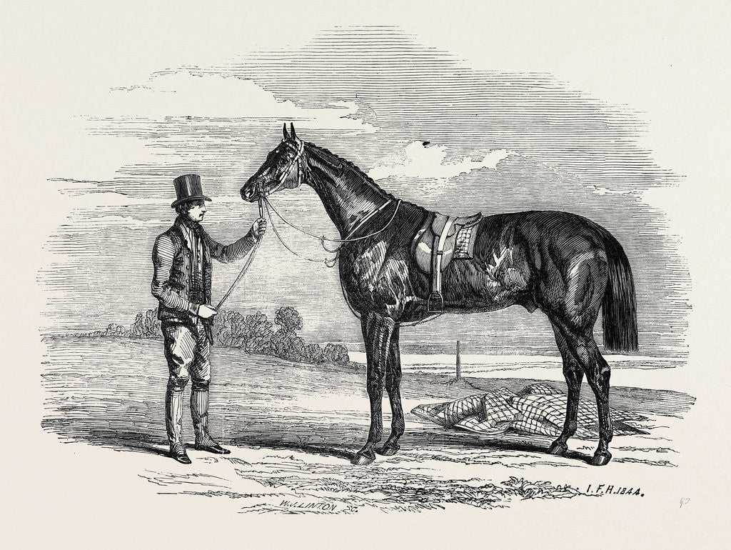 Detail of Foigh-a-Ballagh, the Winner of the Great St. Leger and Grand Duke Michael Stakes by Anonymous