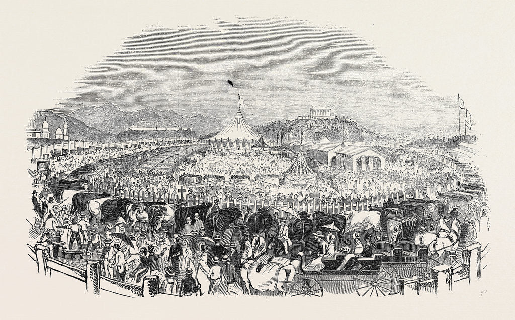 Detail of The Great Poughkeepsie Cattle Show by Anonymous