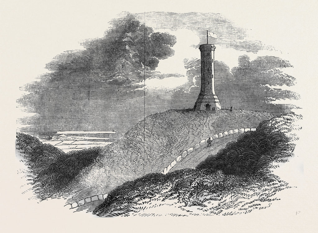 Detail of Monument to Admiral Sir Thomas Hardy, on Blagdon Hill by Anonymous