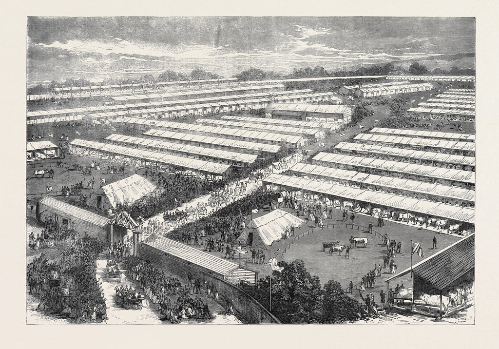 Detail of The Royal Visit to the Irish Agricultural Society's Show at Dublin 1871 by Anonymous