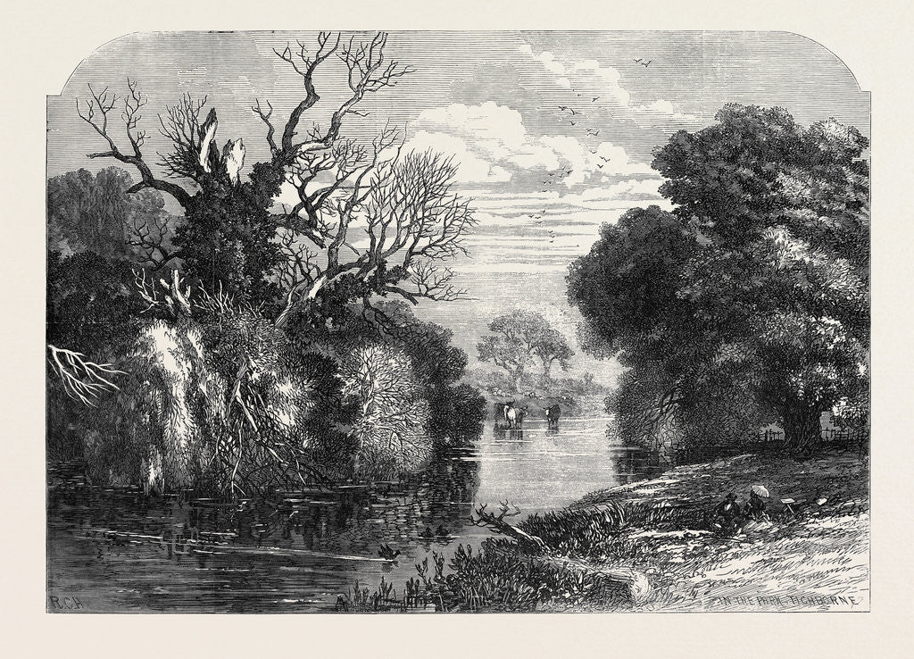 Detail of View in Tichborne Park Alresford Hants. 1871 by Anonymous