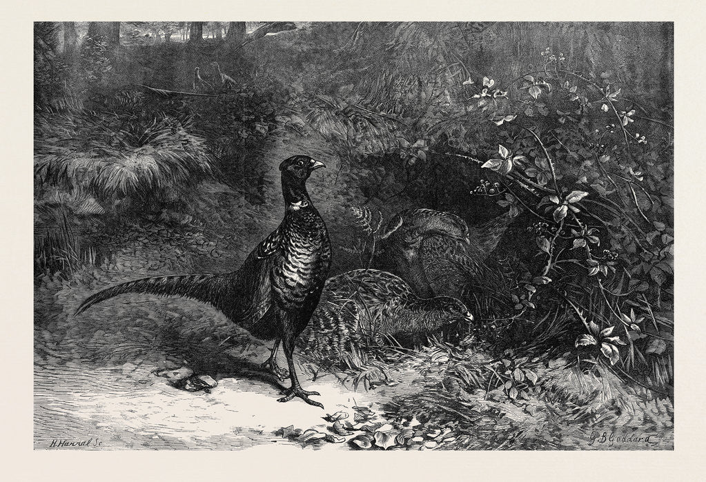 Detail of The Months: October by Anonymous