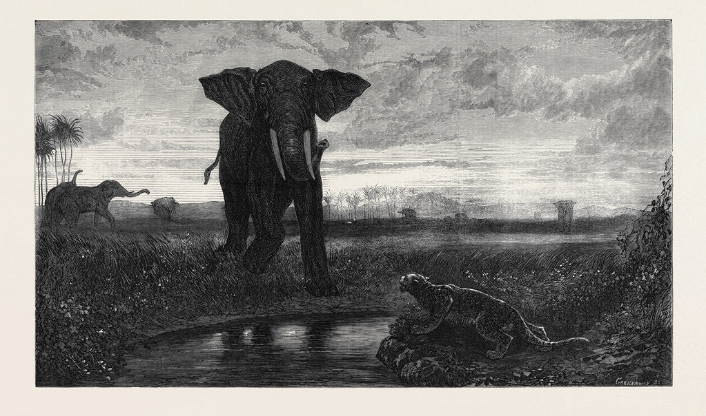 Detail of The Indian Desert 1871 by Anonymous