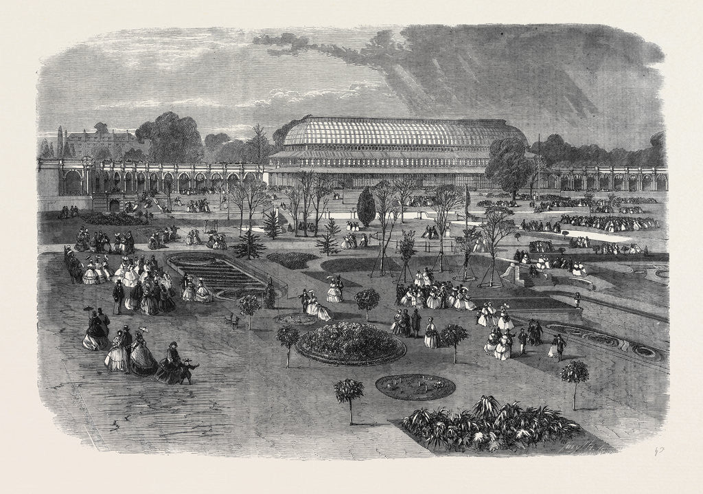 Detail of The Royal Horticultural Society's Gardens South Kensington Showing the Conservatory and Portions of the Arcades by Anonymous