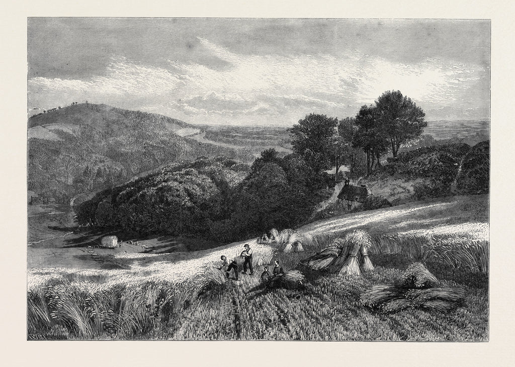 Detail of A Surrey Cornfield from the Exhibition of the Society of British Artists by Anonymous