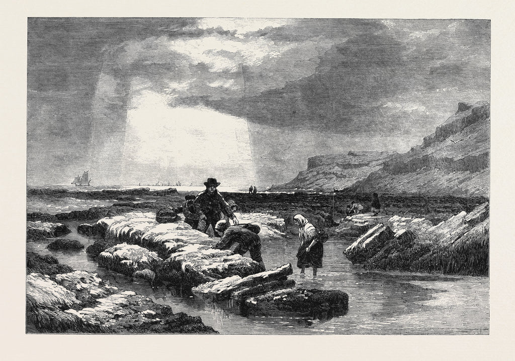 Detail of Crab Catchers, from the Exhibition of the Water Colour Society by Anonymous