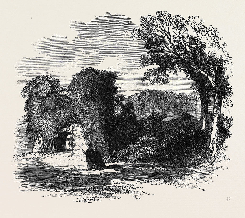 Detail of The British Archaeological Association at Exeter Berry Pomeroy Castle by Anonymous