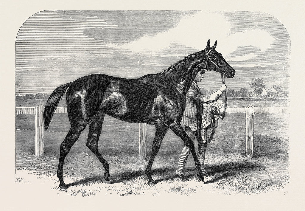 Detail of Caller Ou the Winner of the St. Leger by Anonymous