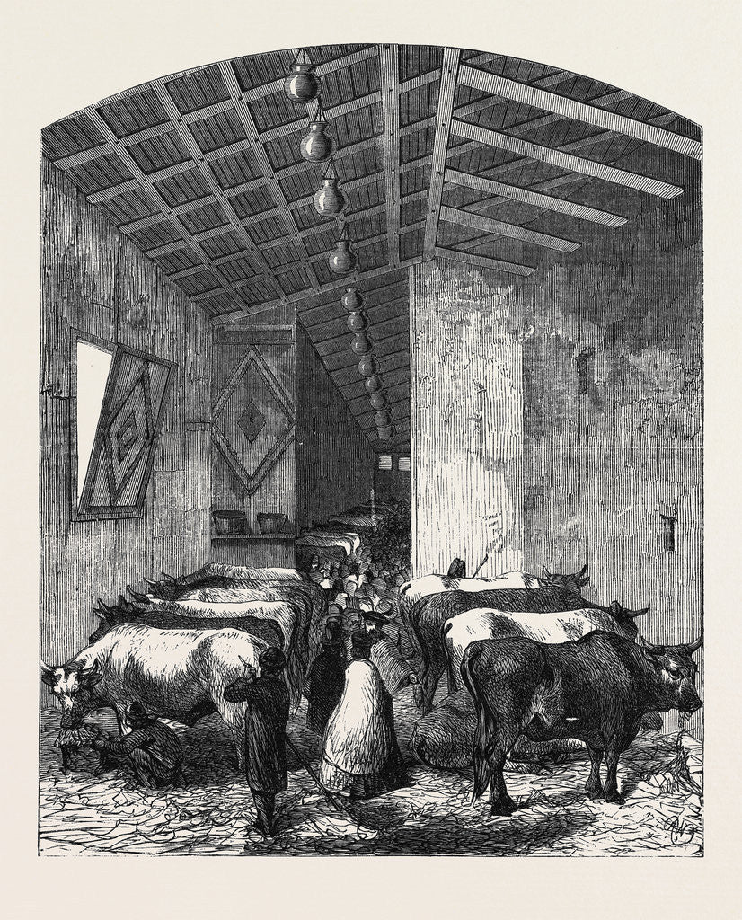 Detail of The Cattle Department at the Italian Exposition Florence by Anonymous