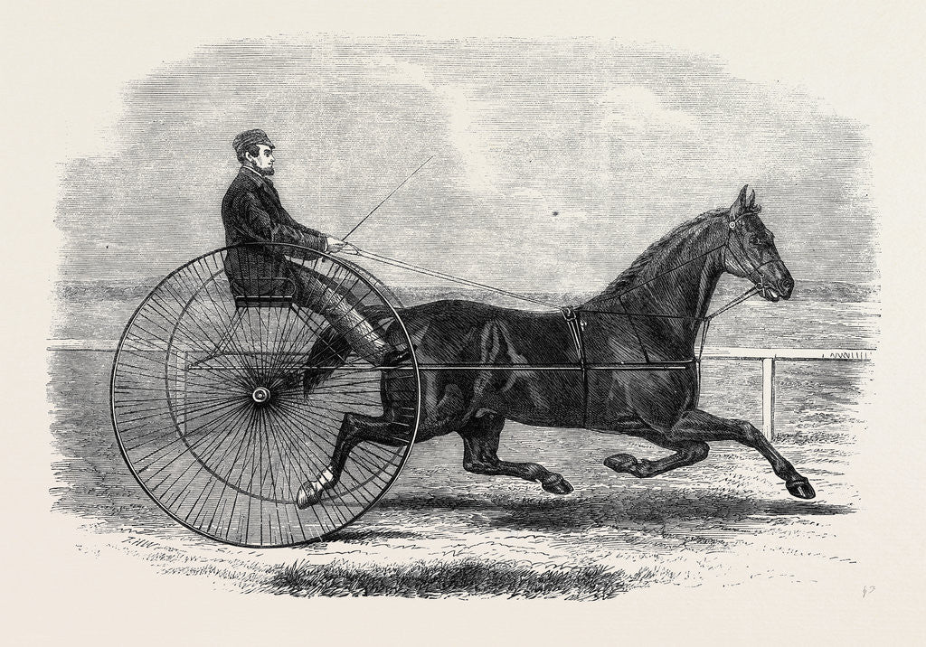 Detail of Jackey the Winner of the Late Aintree Trotting Stakes at Liverpool by Anonymous