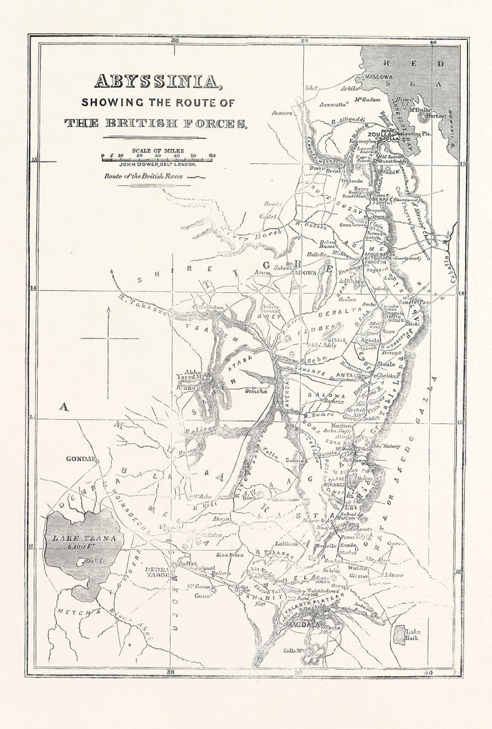 Detail of Abyssinia Showing the Route of the British Forces 1868 by Anonymous