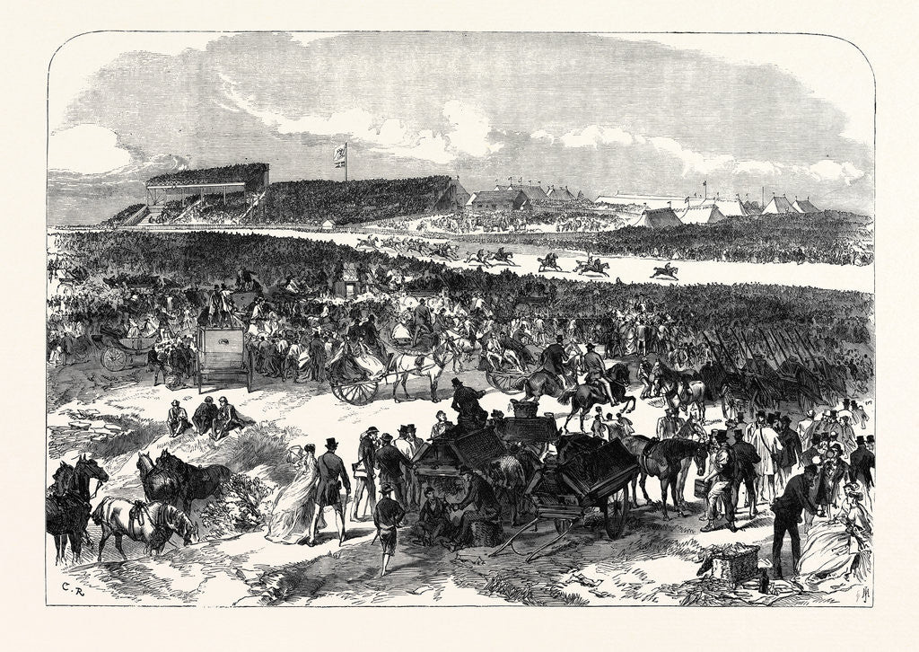Detail of Visit of the Prince and Princess of Wales to Ireland: General View of Punchestown Races 1868 by Anonymous
