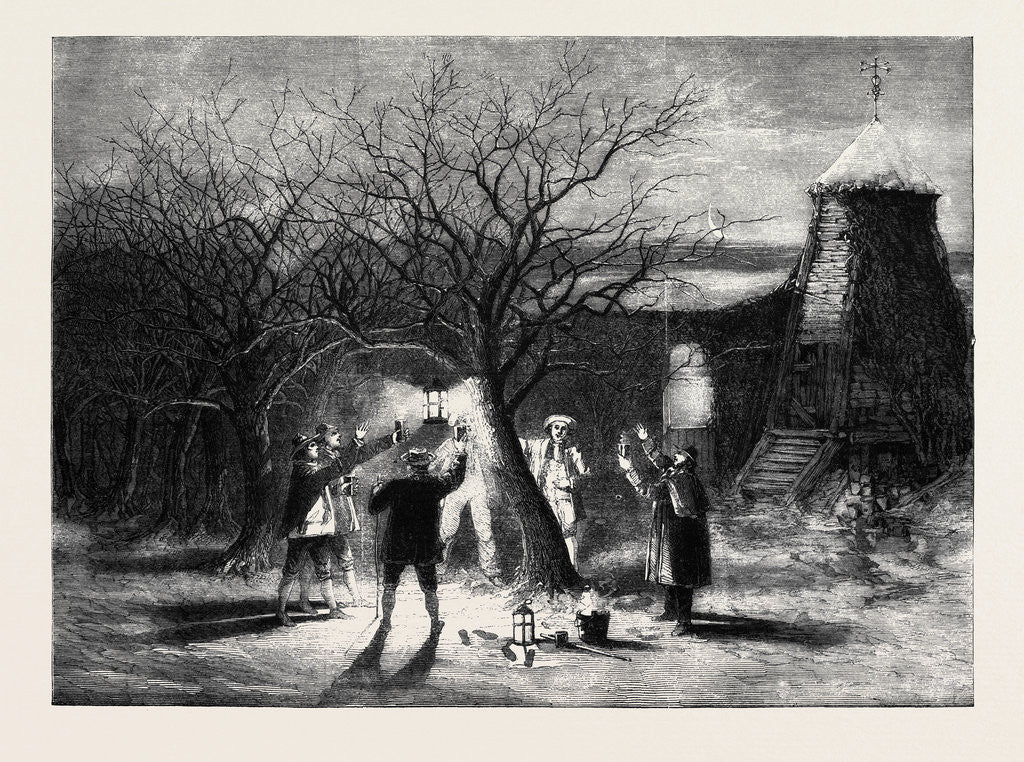 Detail of Wassailing Apple-Trees with Hot Cider in Devonshire on Twelfth Eve by Anonymous