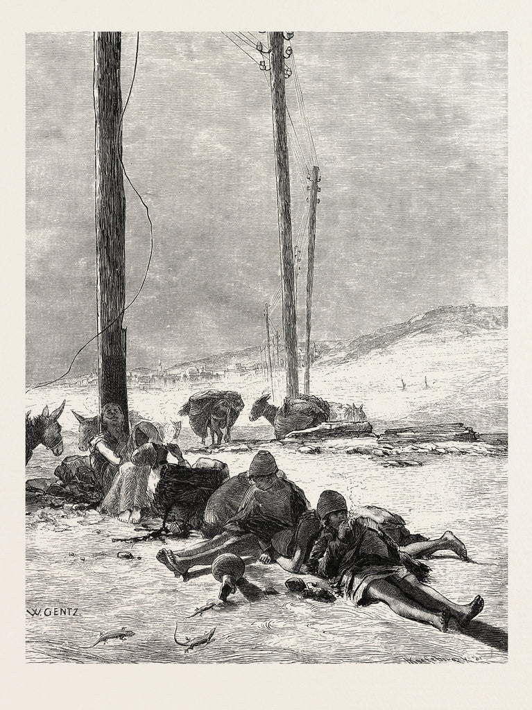 Detail of Telegraph Wires in the Desert by Anonymous