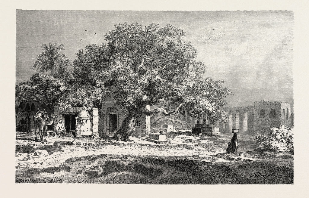 Detail of Old Aqueduct by Anonymous