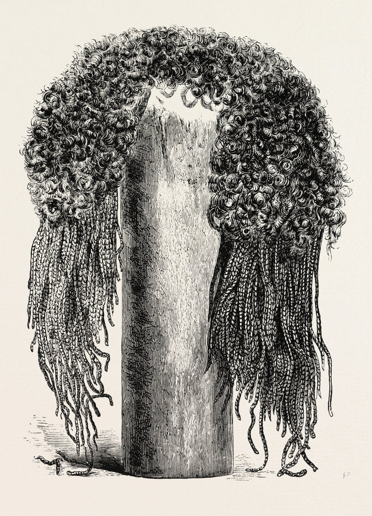 Detail of Old Egyptian Lady's Wig by Anonymous