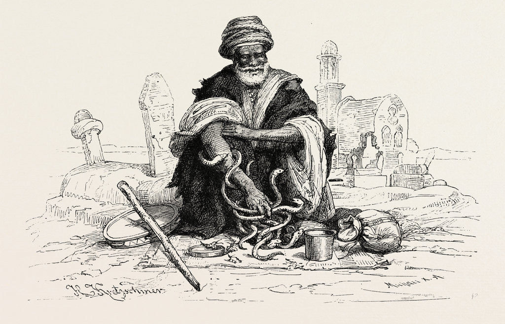 Detail of Snake-charmer by Anonymous