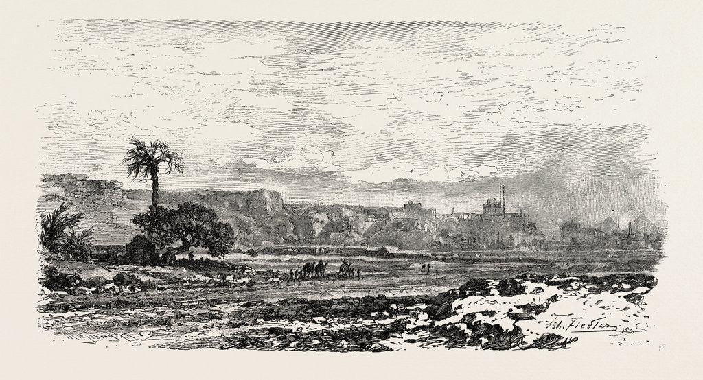 Detail of Road To The Petrified Forest by Anonymous