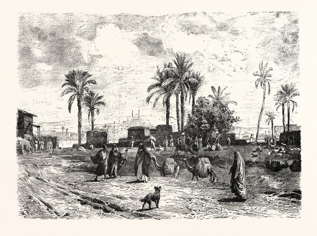 Detail of Cairo; From The Left Bank of the Nile by Anonymous