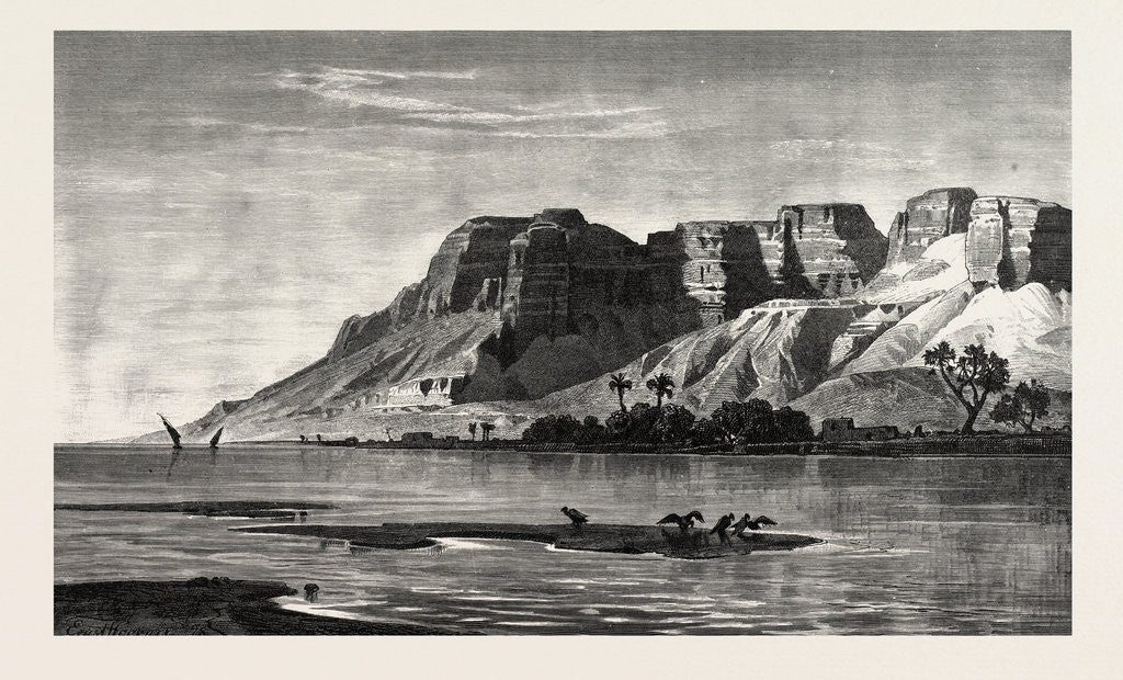 Detail of Fawdaii by Anonymous