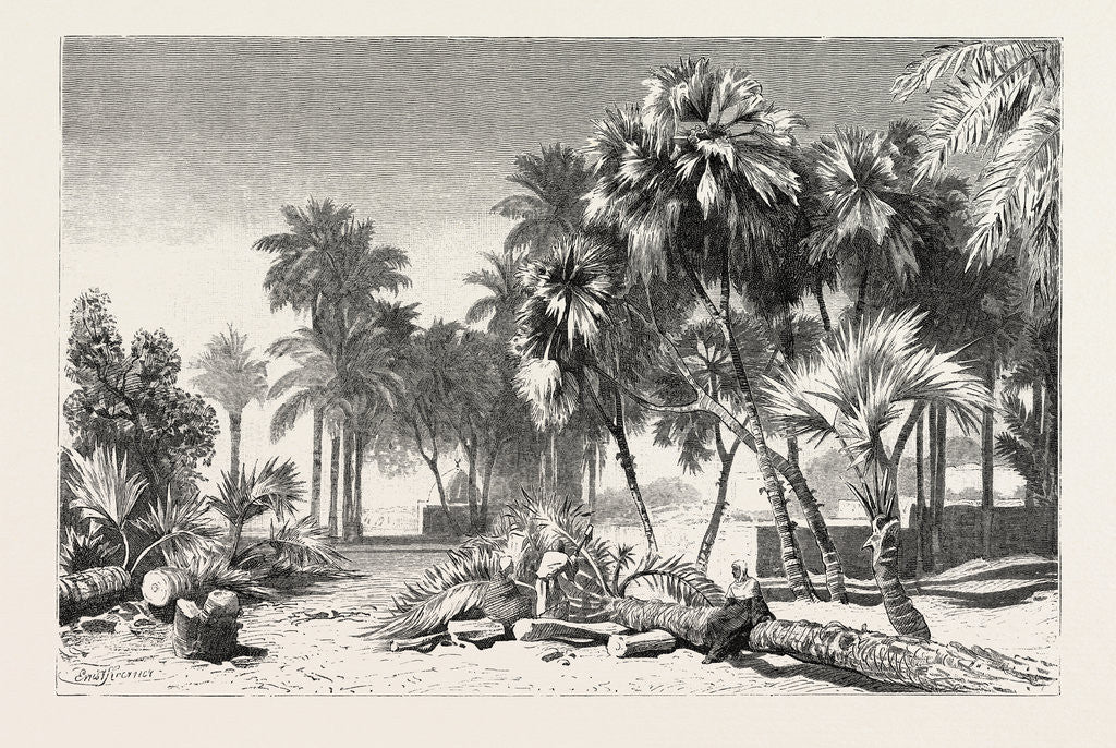 Detail of Date and Doom Palms by Anonymous